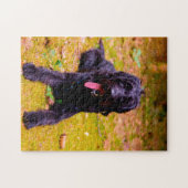 Labradoodle hond. legpuzzel (Horizontaal)
