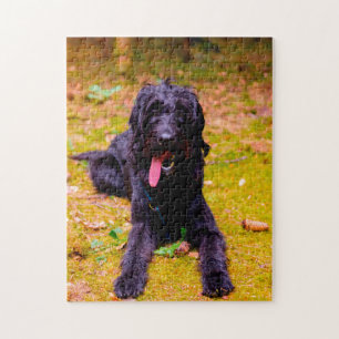 Labradoodle hond. legpuzzel