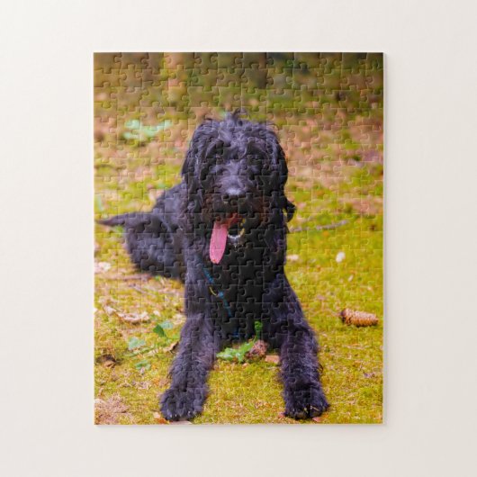 Labradoodle hond. legpuzzel (Verticaal)