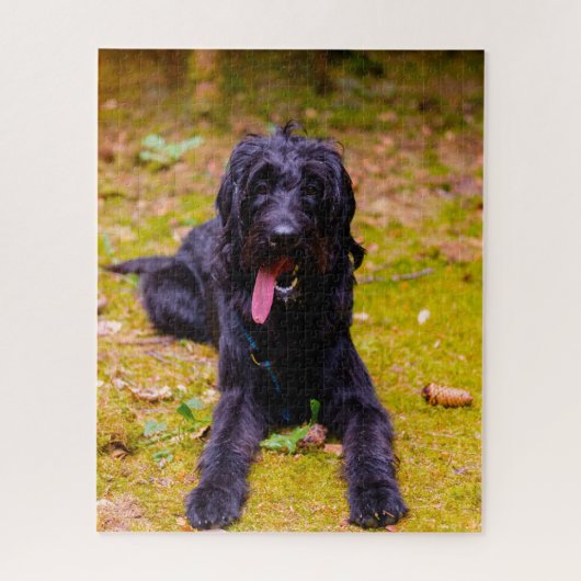 Labradoodle hond. legpuzzel (Verticaal)