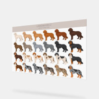 Labradoodle hond mix