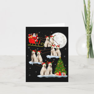 Labradoodle Hond Sinterklaas slee Flying Grappig M Kaart