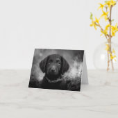 Labradoodle in B&W Notecard Kaart (Gele Bloem)