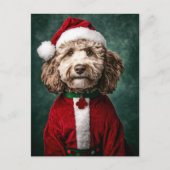 Labradoodle in feestelijke kerstkleding briefkaart (Voorkant)
