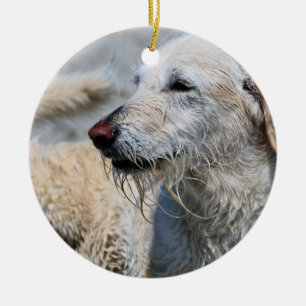 Labradoodle - Izzy Keramisch Ornament