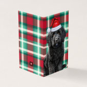 Labradoodle lisse Carte de Noël Plaid (Outside)