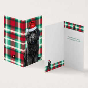 Labradoodle lisse Carte de Noël Plaid