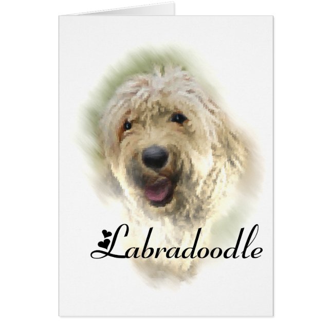Labradoodle Lovers Gifts (Voorkant)