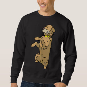 Labradoodle maakt mannetjes trui
