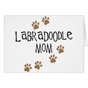 Labradoodle mama
