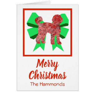 Labradoodle mignon chien de Noël et mâchoire verte