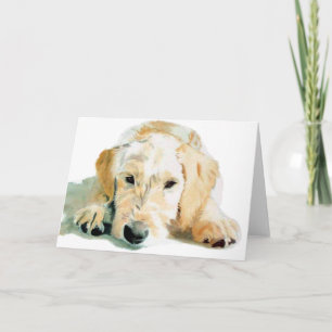 Labradoodle Pup Greeting Cards Kaart
