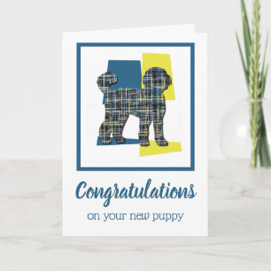 Labradoodle Puppy Dog Gefeliciteerd met de groet Kaart