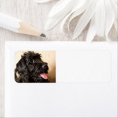 Labradoodle Return Address Label (Insitu)