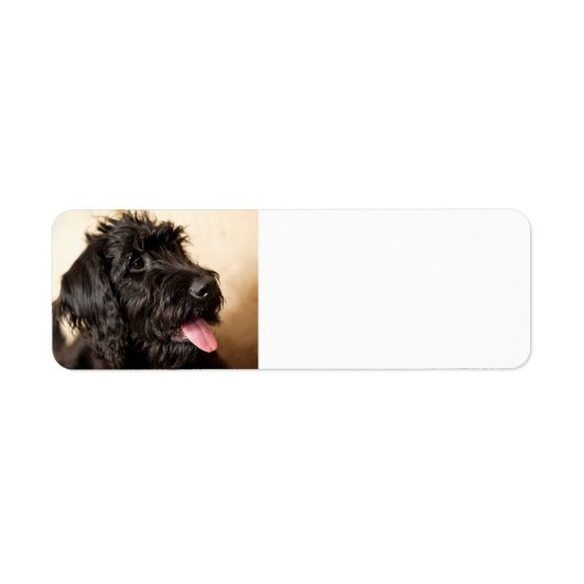 Labradoodle Return Address Label (Voorkant)