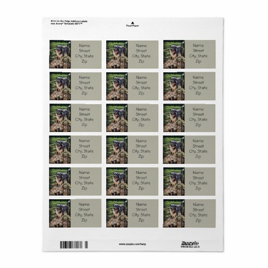 Labradoodle Return Address Label (Full Sheet)