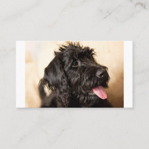 Labradoodle Standard, 3,5-inch x 2,0-inch platte k Plaatskaartje