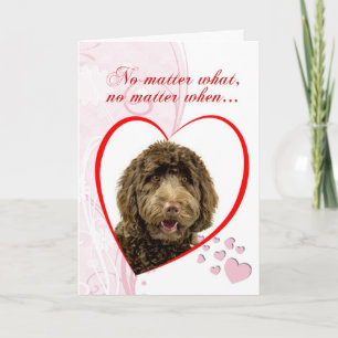Labradoodle Valentijnsdag kaart