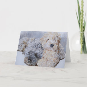 Labradoodles deux cartes de voeux