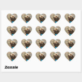 Labradoodles ont mon autocollant (Feuille)