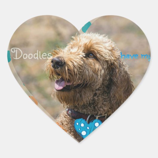 Labradoodles ont mon autocollant (Devant)