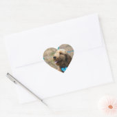 Labradoodles ont mon autocollant (Enveloppe)
