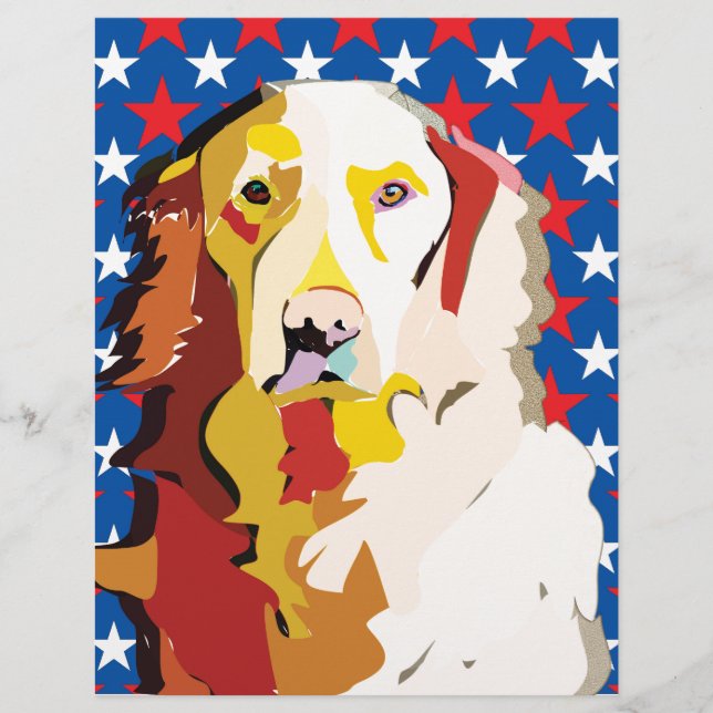 labrador3 (Voorkant)