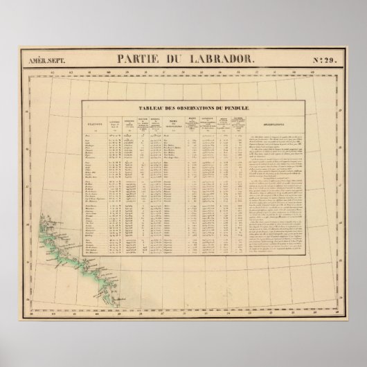 Labrador 29 poster (Voorkant)