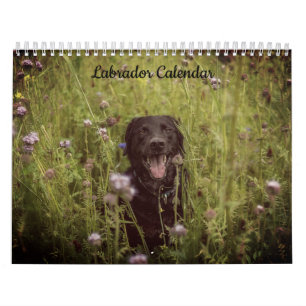 Labrador Aangepaste Jaar Kalender