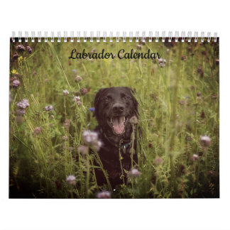 Labrador Aangepaste Jaar Kalender