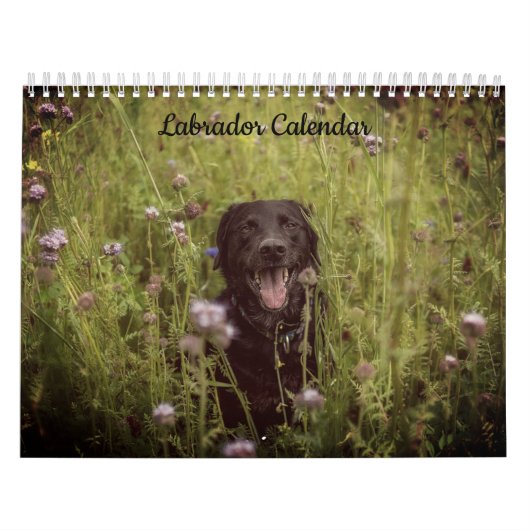 Labrador Aangepaste Jaar Kalender (Hoes)
