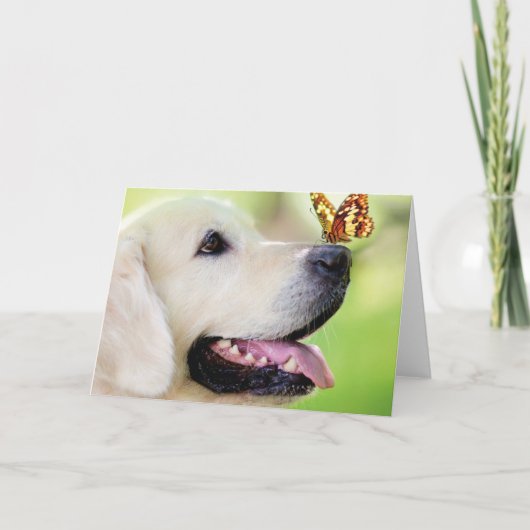 Labrador And Butterfly Throw Pillow (Voorkant)