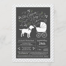 Labrador Baby Shower Geslacht Neutraal Lab