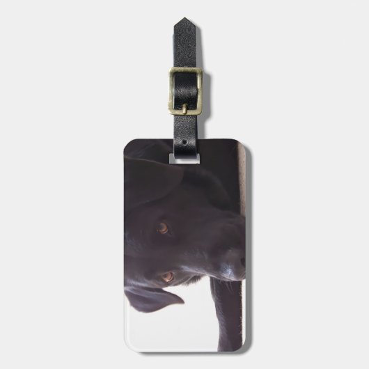 labrador bagagelabel (Voorkant verticaal)