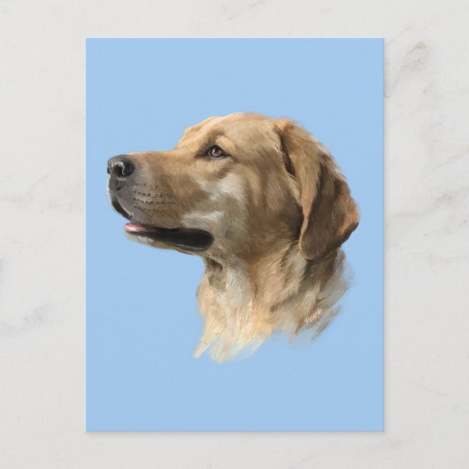 Labrador Briefkaart (Voorkant)
