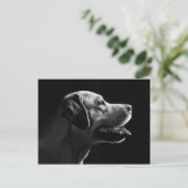 labrador briefkaart (Staand voorkant)