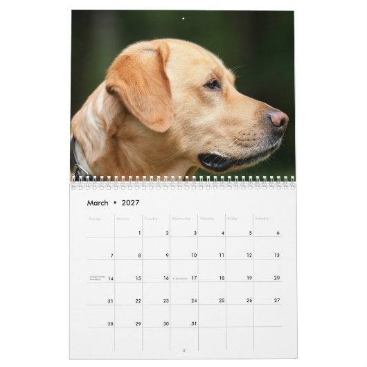 Labrador Calender Kalender (Mar 2027)