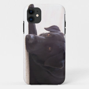 labrador iPhone 11 hoesje