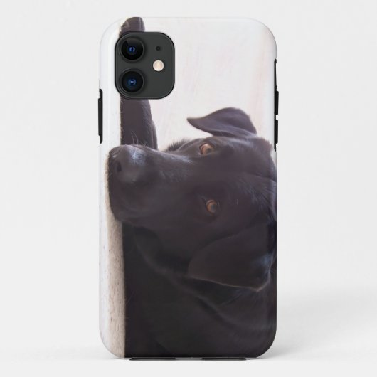 labrador Case-Mate iPhone case (Achterkant)