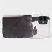 labrador Case-Mate iPhone case (Achterkant (horizontaal))