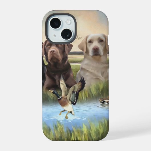 Labrador, chasse aux canards (Verso)