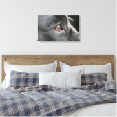 Labrador Close Up Canvas Afdruk (Insitu (Slaapkamer))