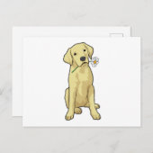Labrador Daisy Briefkaart (Voorkant / Achterkant)