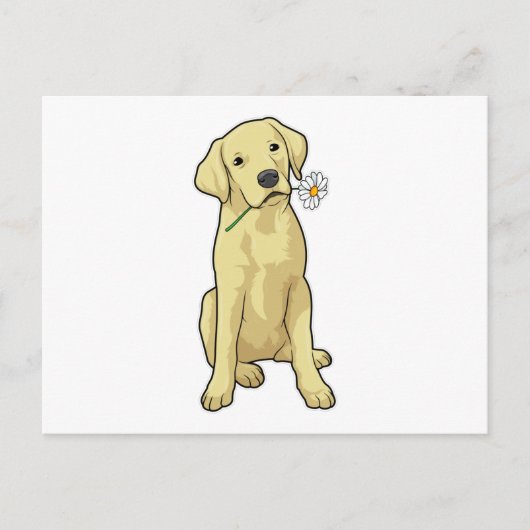Labrador Daisy Briefkaart (Voorkant)