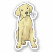 Labrador Daisy Sticker (Voorkant)