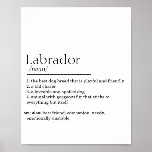 Labrador Definition Poster
