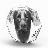 Labrador Dog cool Fotoblokken (Rechts)