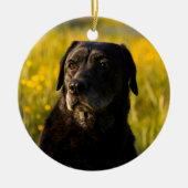 Labrador Dog Custom Memorial Keramisch Ornament (Voorkant)