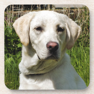 LABRADOR DOG DRANKJES ONDERZETTER