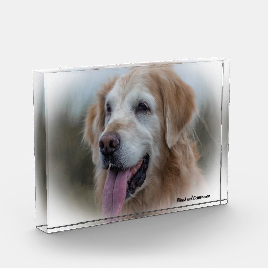 Labrador Dog. Fotoblokken (Links)